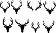 © Peacock - Antlers and Horns Icon Set Silhouette Design Animal Horns Vector Illustration.