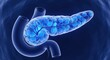 © SR Stock - Detailed 3d render of the human pancreas an organ essential for digestion and blood sugar regulation