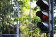 © alexkich - Traffic Light with Green Signal in Sunny Forest Setting