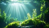 Sunbeams pierce an underwater scene of flourishing aquatic vegetation
