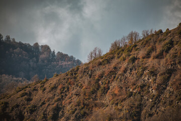 Wall Mural - Landscape with beautiful fog in forest on hill or Trail through a mysterious winter forest with autumn leaves on the ground. Road through a winter forest. Magical atmosphere. Azerbaijan nature