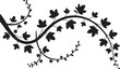 © Kohinoor - Branch with Leaves Vector Illustration Nature Plant Twig Foliage Silhouette Botanical Element Decorative Ornament Floral Springtime 130