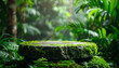 © hardvicore - Moss-covered stone pedestal surrounded by lush tropical rainforest plants, rough textured podium