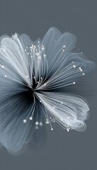 Canvas Print - Abstract Grey and White Radiating Floral Design with Ethereal Blossoms and Floating Particles Art