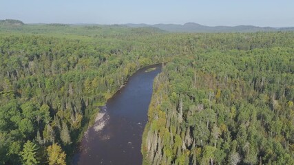 Wall Mural - River in the Minnesota Canada boarder surrounded by dense forest