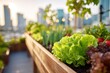 © Alina - Sunlit rooftop garden with city skyline