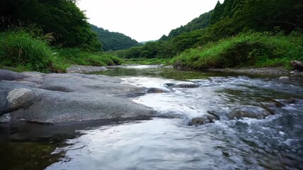 Wall Mural - A peaceful river flowing continuously over smooth rocks through a serene natural landscape, captured in a calming timelapse ripple, peaceful river, flowing continuously