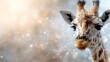 © JoxyAimages - This captivating image features a close-up of a giraffe's face showcasing its unique spots and expressive eyes, set against a beautifully blurred, warm background.