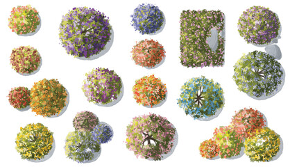 Wall Mural - vector watercolor of blooming tree top view isolated on white background for landscape plan and arch