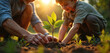 © miss irine - Grandfather, grandson work to plant small tree together outdoors in bright sunlight. Carefully put dirt around young sapling with hands. Shows strong family bonding, environmental responsibility for