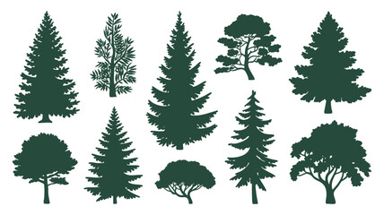Collection of silhouetted evergreen and deciduous trees