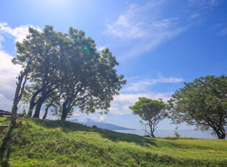 Wall Mural - Beautiful, serene landscape with a blue sky and trees