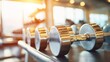 © Tyrah - Close up of dumbbells on gym rack with sunlight streaming in