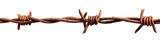 Rusty barbed wire stretches across a black background (1)