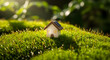 © Riski Digital Studio - Miniature eco-friendly house with solar panel in lush green mossy garden