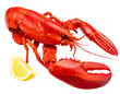 © Rendy Dastian - Isolated red lobster on no background, cooked, prepared for gourmet seafood cuisine