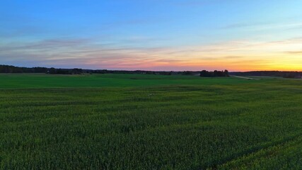 Wall Mural - Agro-drone seeding a crop field. Modern precision agriculture
