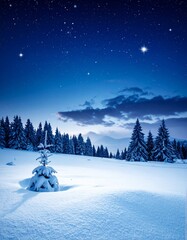 Wall Mural - Beautiful white winter landscape of a snowy forest with frozen trees under a clear mountain sky