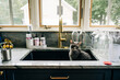 © Cavan Images - Gray cat observing from inside a black kitchen sink