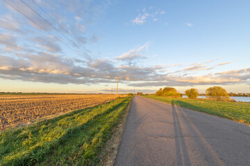 Wall Mural - Road with a grassy area on the side