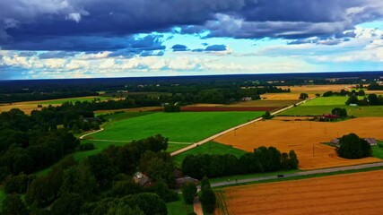 Wall Mural - Green and Gold Farmland Under Blue Sky With Clouds Over Latvian Landscape