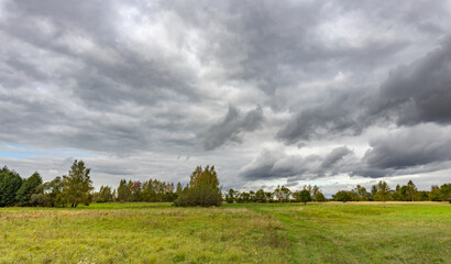 Wall Mural - Field of grass with trees in the background and a cloudy sky