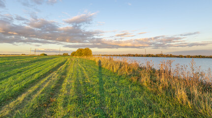Wall Mural - Field with a body of water in the background
