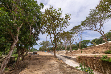 Wall Mural - Dirt road with trees in the background