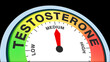 © Herman - Testosterone medium, concept illustration showing moderate hormone levels, balanced vitality, and average male hormone activity. Ideal for health, medical, or wellness visuals in charts, meters