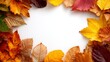 © imstock - Hojas de otoño dibujando un marco alrededor de la imagen sobre fondo blanco