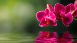 Vibrant pink orchids reflecting on serene water, surrounded by a lush green background in nature