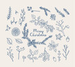 © Mykola Syvak - Merry Christmas sketch with decorative winter plants, natural herbs stems, acorns and fruits