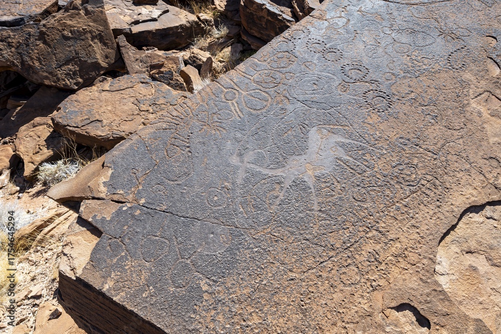 Depictions of animals on a rock slab, petroglyphs, rock engravings ...