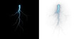 © MIKHAYLO - Electric lightning bolt illustration with vibrant blue color on contrasting backgrounds, showcasing dynamic energy and powerful natural phenomenon in a visually striking design