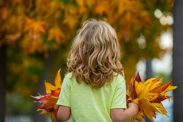 Wall Mural - Child face with autumn leaves. Little boy on a dreamy fall day in the autumn park. Childhood fun with falling maple leaves outdoors. Autumn day with a child. Kids face in autumn fall leaves.