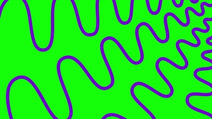 Wall Mural - Animated violet decorative wavy lines is drawn. Linear purple background. Looped video. Vector illustration isolated on green background.
