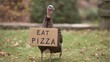 © Harry - Hilarious turkey promoting pizza over Thanksgiving dinner with a sign in a grassy yard, a funny and quirky alternative holiday concept