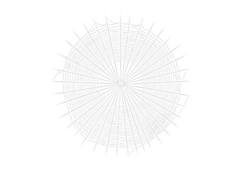Intricate white web radial pattern isolated on a transparent background