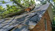 © sorin - Urgent roof repairs required after tree collapse on home due to storm damage and safety issues