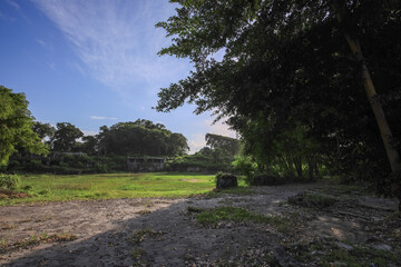 Wall Mural - Field with a few trees and a house in the background
