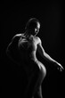 © chotiga - Strong female bodybuilder silhouette athletic woman muscular physique bikini competitor dramatic lighting black background fitness model studio portrait toned abs confident pose