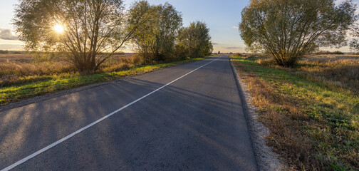 Wall Mural - Road with trees in the background and a sun in the sky