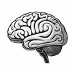 © kalogr - Brain or mind side view flat vector icon for medical apps and websites