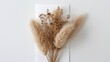 © AkuAku - Bouquet of soft, airy bunny tails against a white backdrop. Floral greeting card.