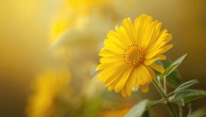 Wall Mural - Close-up of a vibrant yellow blossom with soft, out-of-focus backdrop