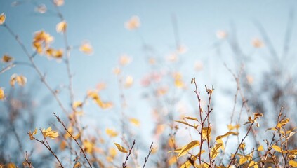 Wall Mural - Golden autumn foliage and branches against a soft blue bokeh backdrop