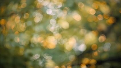 Wall Mural - Blurred green backdrop with soft-focus leaves and glowing bokeh lights, featuring a shallow depth of field