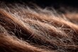 © Michael - Hair texture showing dry brown strands mixed with graying hairs