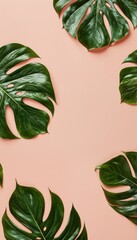 Wall Mural - a flat lay composition of vibrant green monstera leaves artfully arranged on a soft peach colored background.
