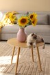 © New Africa - Beautiful sunflowers in vase and cat on wooden coffee table indoors